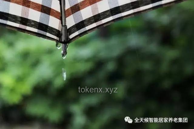 如何有效维护与修复油纸伞6的常见问题